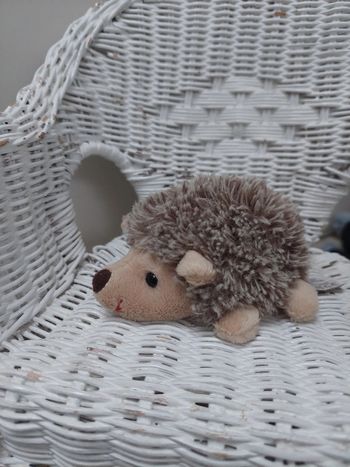Bukowski  - petite peluche Hubert le herisson