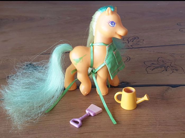 Mon Petit  Poney G2  Gardener  (rare)