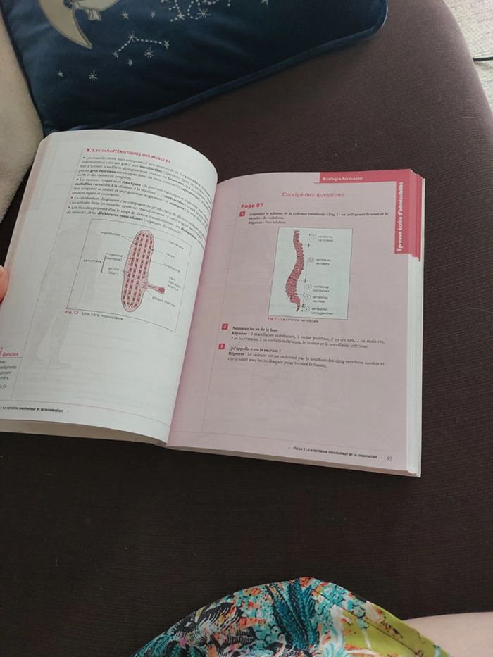 Guide AS + concours d'entrée AS - photo numéro 18