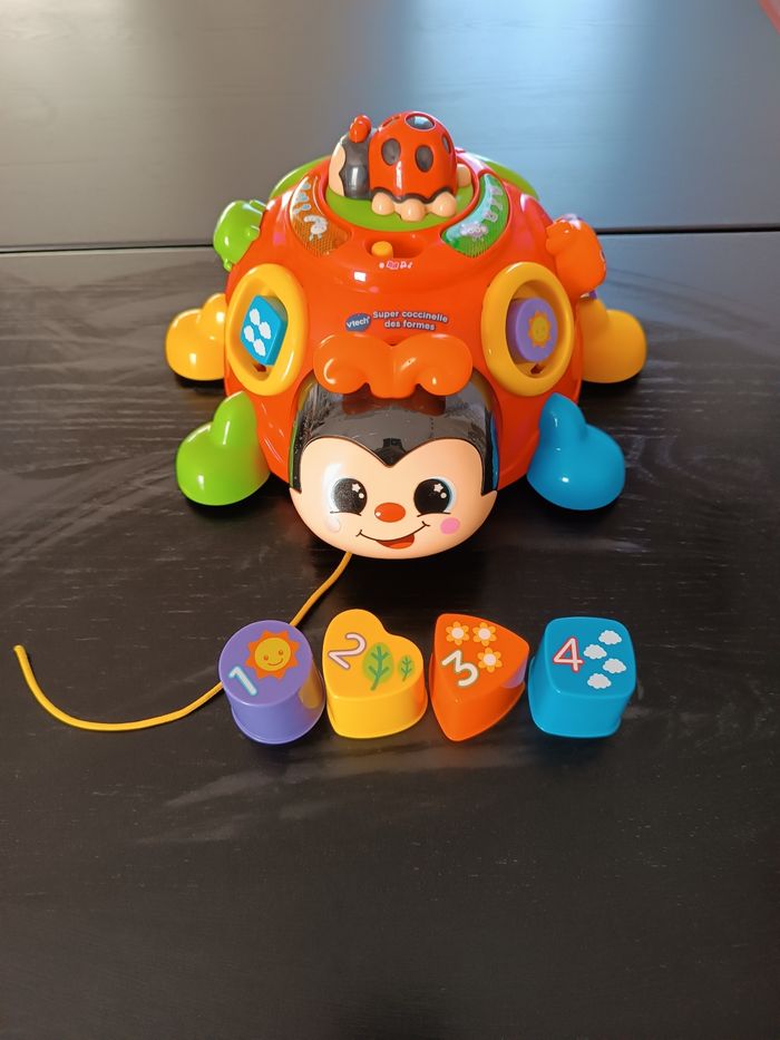 Coccinelle musical - photo numéro 2