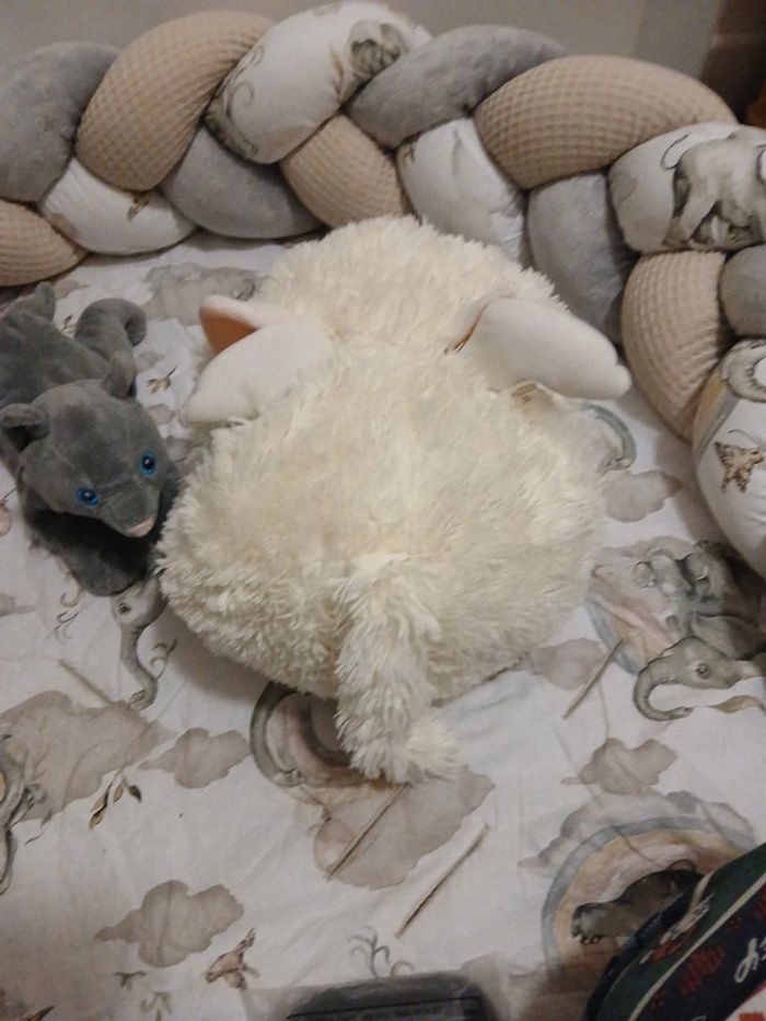 Peluches chat - photo numéro 3