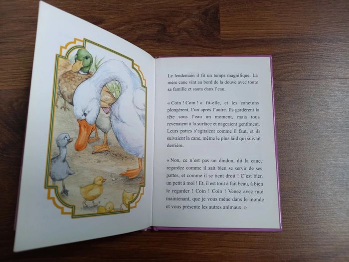 Le vilain petit canard - photo numéro 4