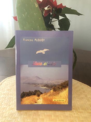 Viens et vois - François Plouidy 