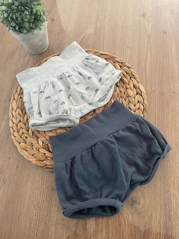 Lot 2 shorts