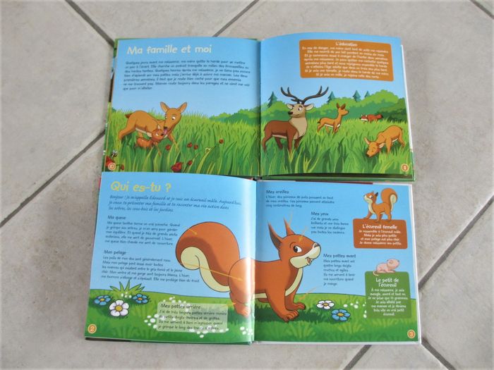 Lot de 2 livres enfant Le cerf et L’écureuil - photo numéro 3