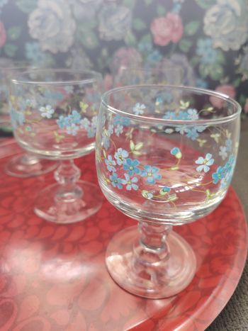 Ensemble de 5 verres à pied myosotis/veronica