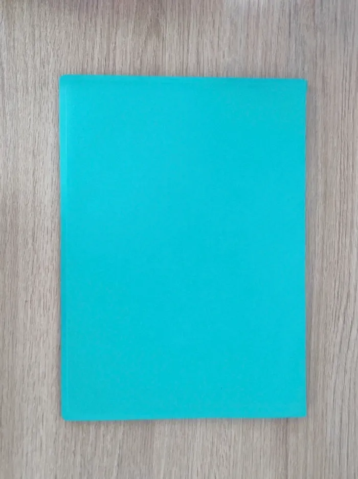 Porte-vue turquoise - A4 / 80 vues - photo numéro 2