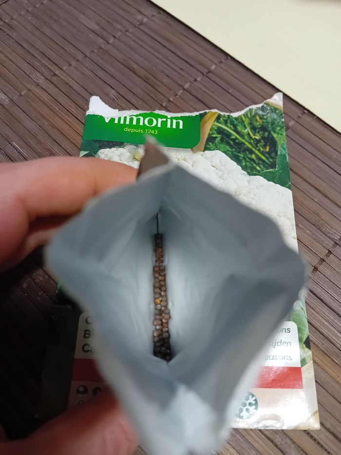 Chou-fleur - photo numéro 2