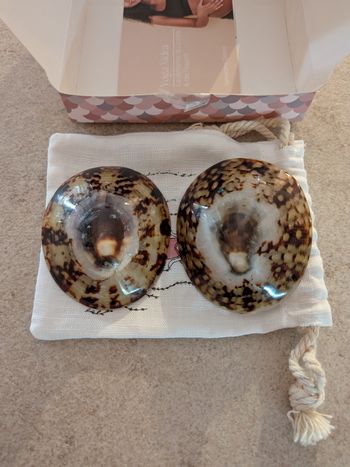 Coquillages d'allaitement