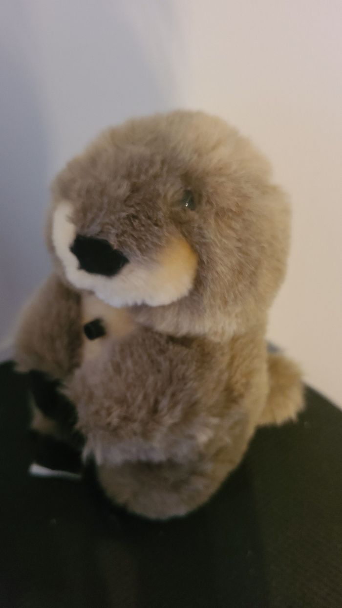 peluche marmotte siffleuse startoy - doudou marmotte castor 30 cm - photo numéro 5