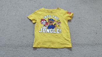 Tee shirt paw patrol 