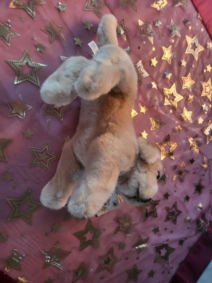 Peluche chien 🐕 - photo numéro 6