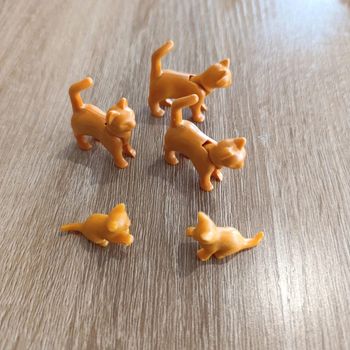 Playmobil chats et chatons