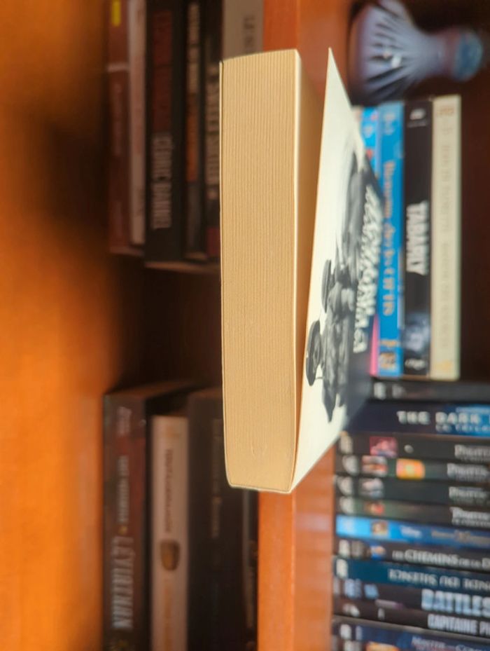 L'ennemi intime - photo numéro 4