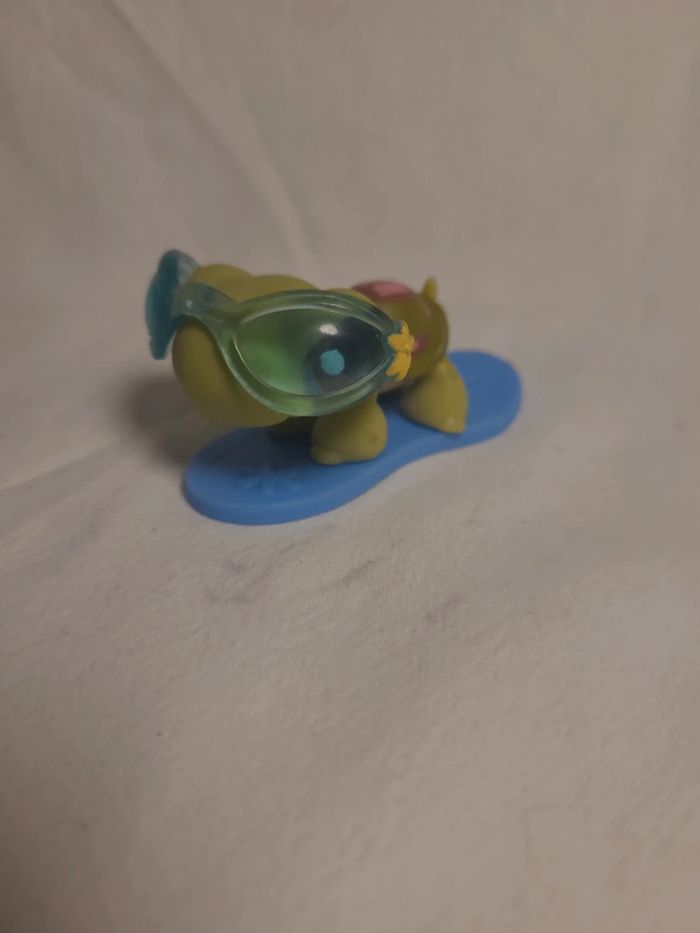 tortue petshop avec son surf