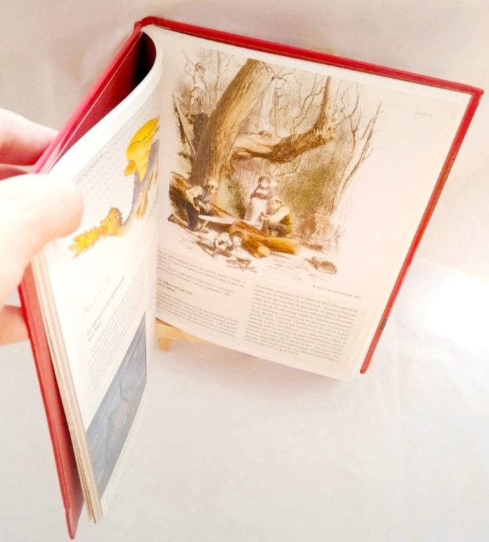 Le légendaire des Dragons Marie Charlotte Delmas - photo numéro 2
