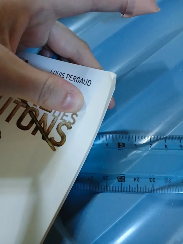 La guerre des boutons de louis pergaud - photo numéro 17