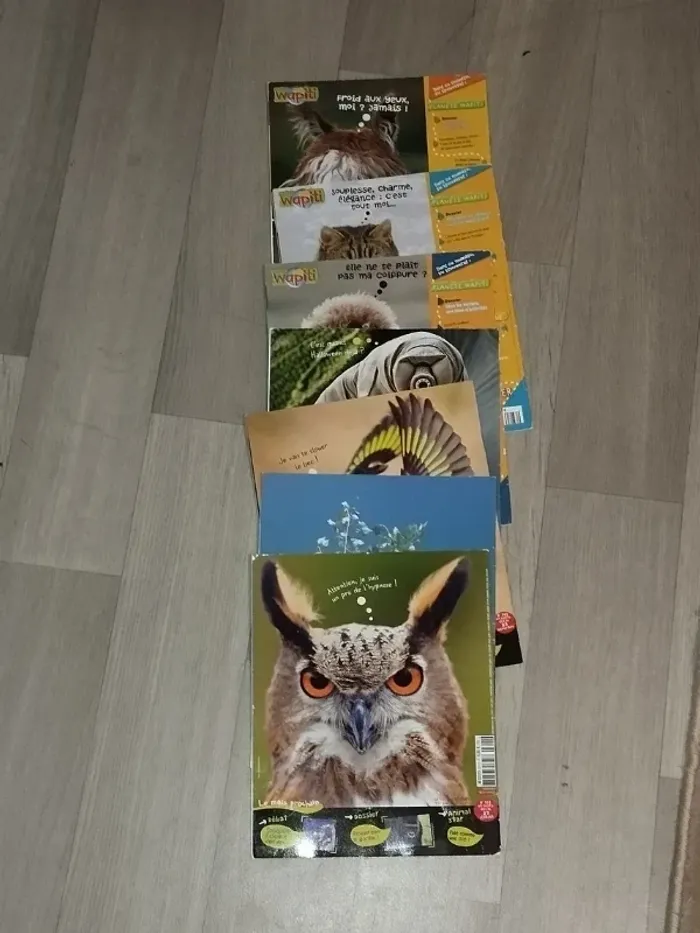 Lot de 7 magazines Wapiti année 2010-11-12-13 L028 - photo numéro 5