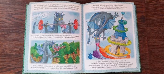 L'imagerie des dragons Descriptif. Éditeur Fleurus - photo numéro 15