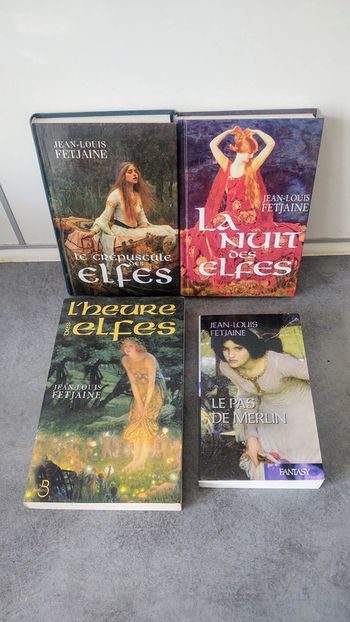 Livres : lot de livres Fetjaine