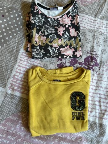 Lot de 2 sweat-shirts petite fille 