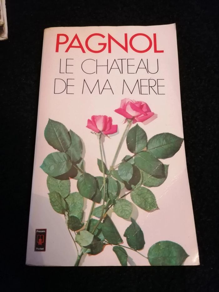 Livre le château de ma mère