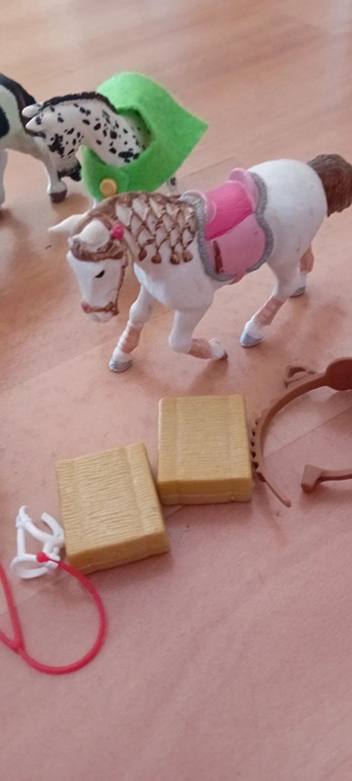 Chevaux - photo numéro 2