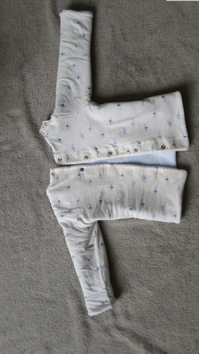 Ensemble absorba - photo numéro 7
