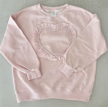 Sweat Zara 9/10 ans parfait état