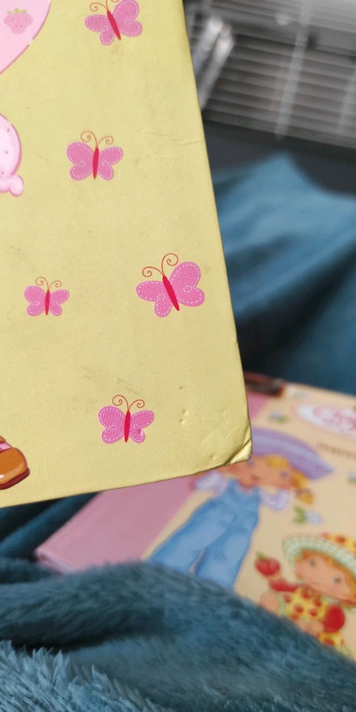 Deux livres charlottes aux fraises - photo numéro 5