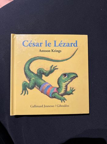 Livre pour enfants antoon krings cesar le lézard