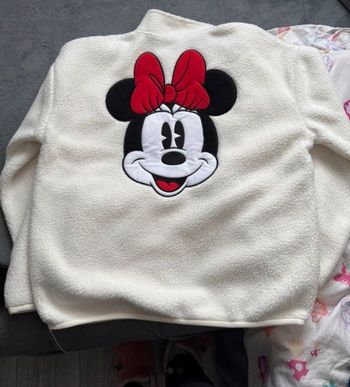 Polaire Minnie Disneyland Paris