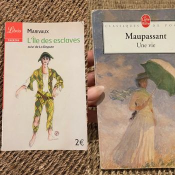 Livre l’île des esclaves + une vie