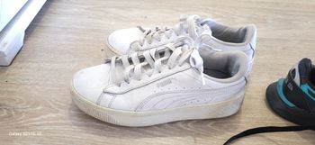 Bascket  puma