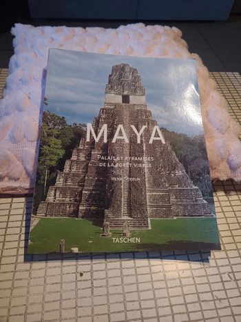 Maya. Palais et pyramides de la fôret vierge