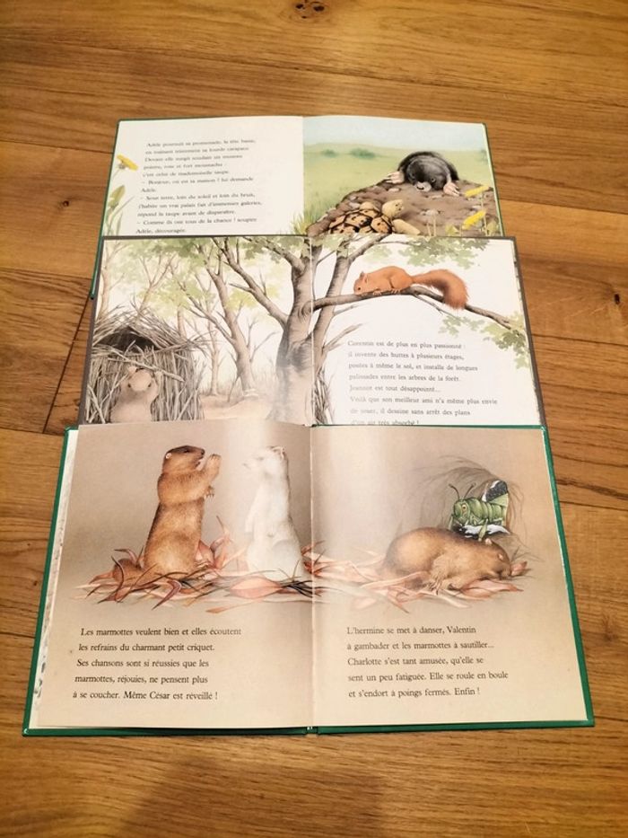 Lot de 3 livres À toutes pattes - photo numéro 3