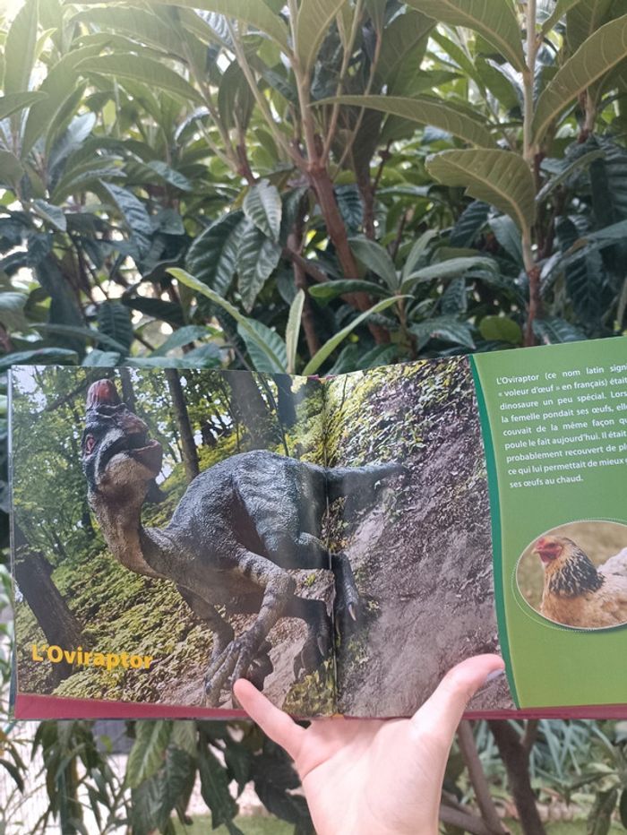 Livre les dinosaures édition carrousel. - photo numéro 5