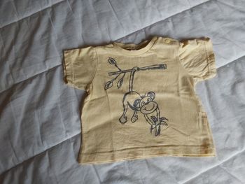 Tee-shirt bébé garçon taille 9mois