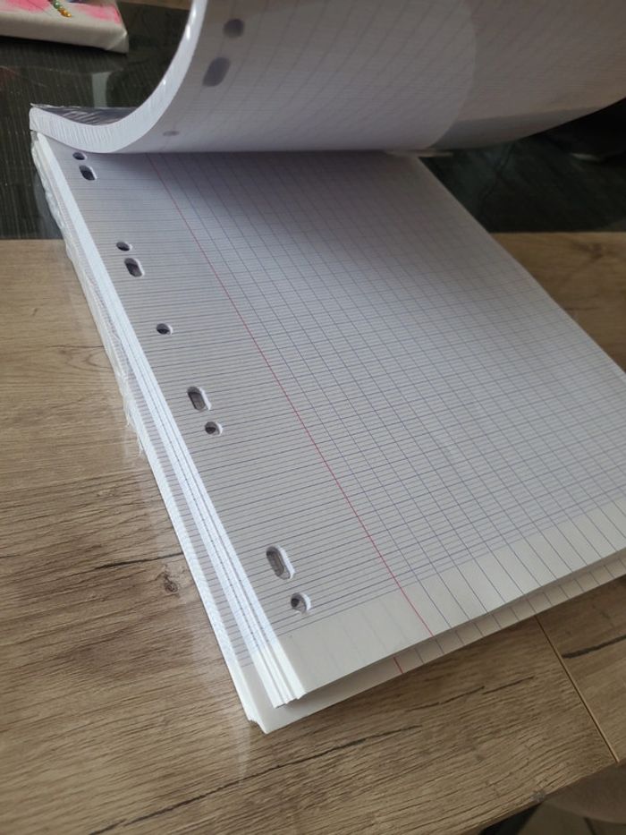 Lot feuilles simples - photo numéro 3