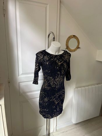 Robe zébrée