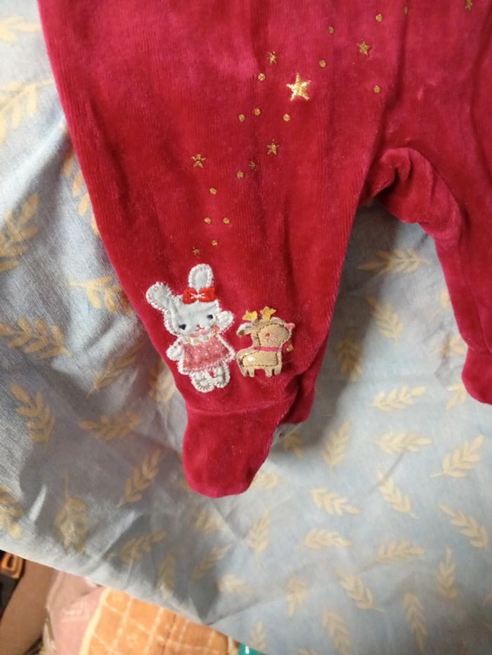 Grenouillère - photo numéro 5