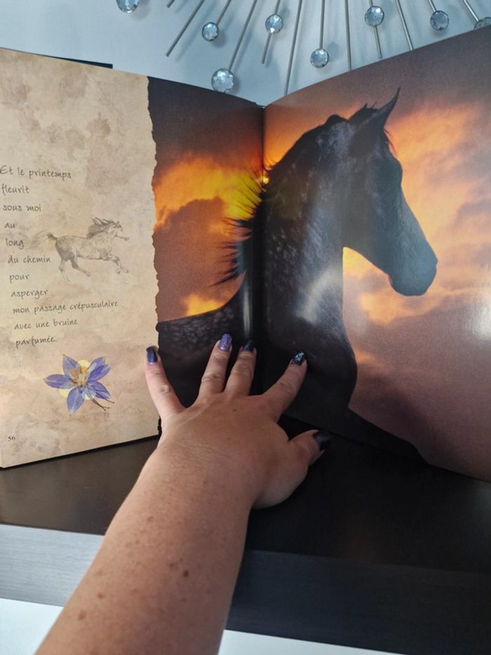 Livre les chevaux du soleil - photo numéro 4