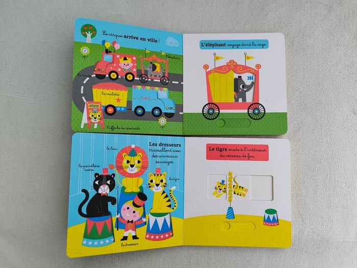 Lot 2 livres Ça bouge Auzou - photo numéro 4