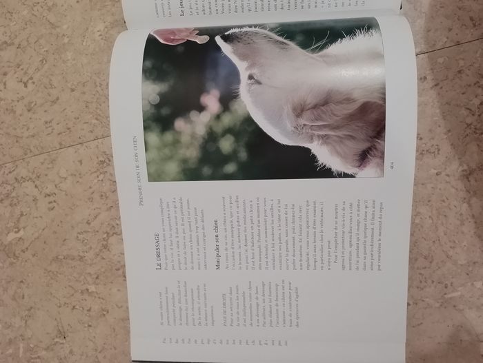 Encyclopédie des chiens - photo numéro 8