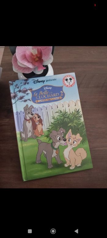 Livre Disney