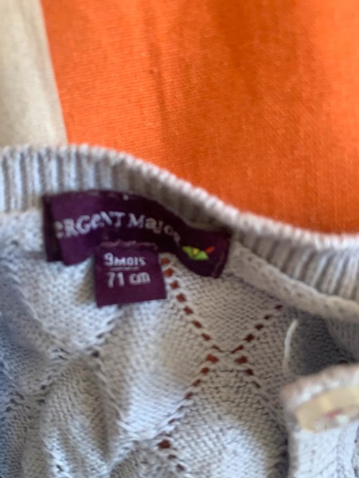 Gilet bleu - photo numéro 2