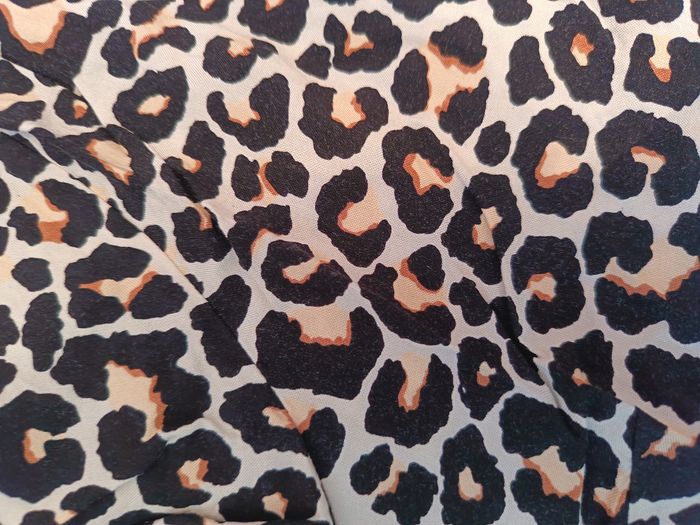 Blouse léopard - photo numéro 3