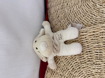 Doudou semi plat chien écru beige TIAMO COLLECTION