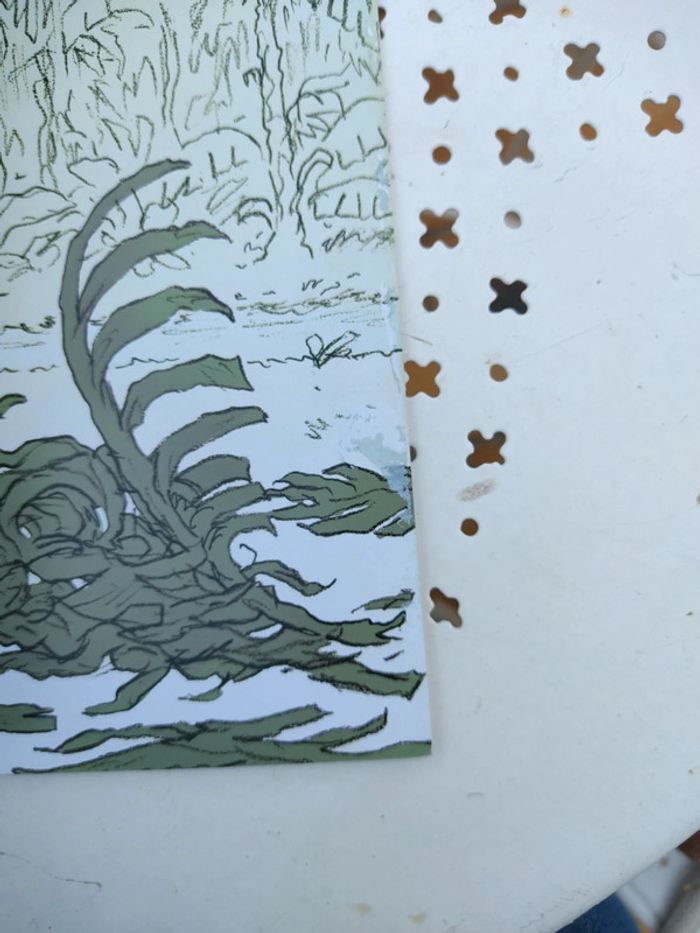 Livre sauve-souris - photo numéro 5