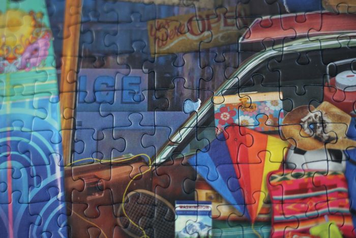 Puzzle 1000 pièces Ravensburger "Family Vacation" - photo numéro 2